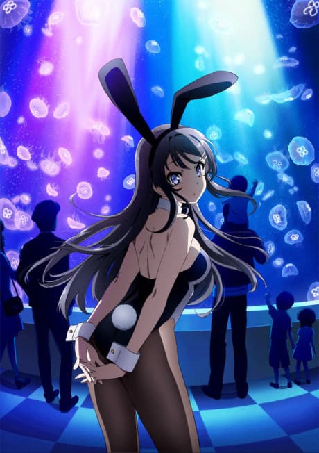 Seishun Buta Yarou wa Bunny Girl Senpai no Yume wo Minai cover